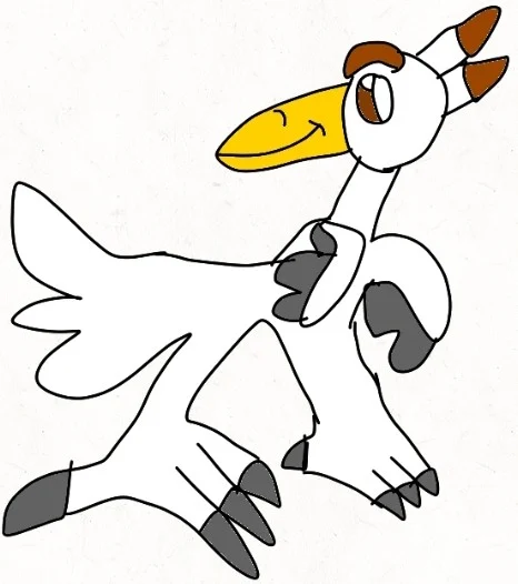 Jake Cassidy the seagull