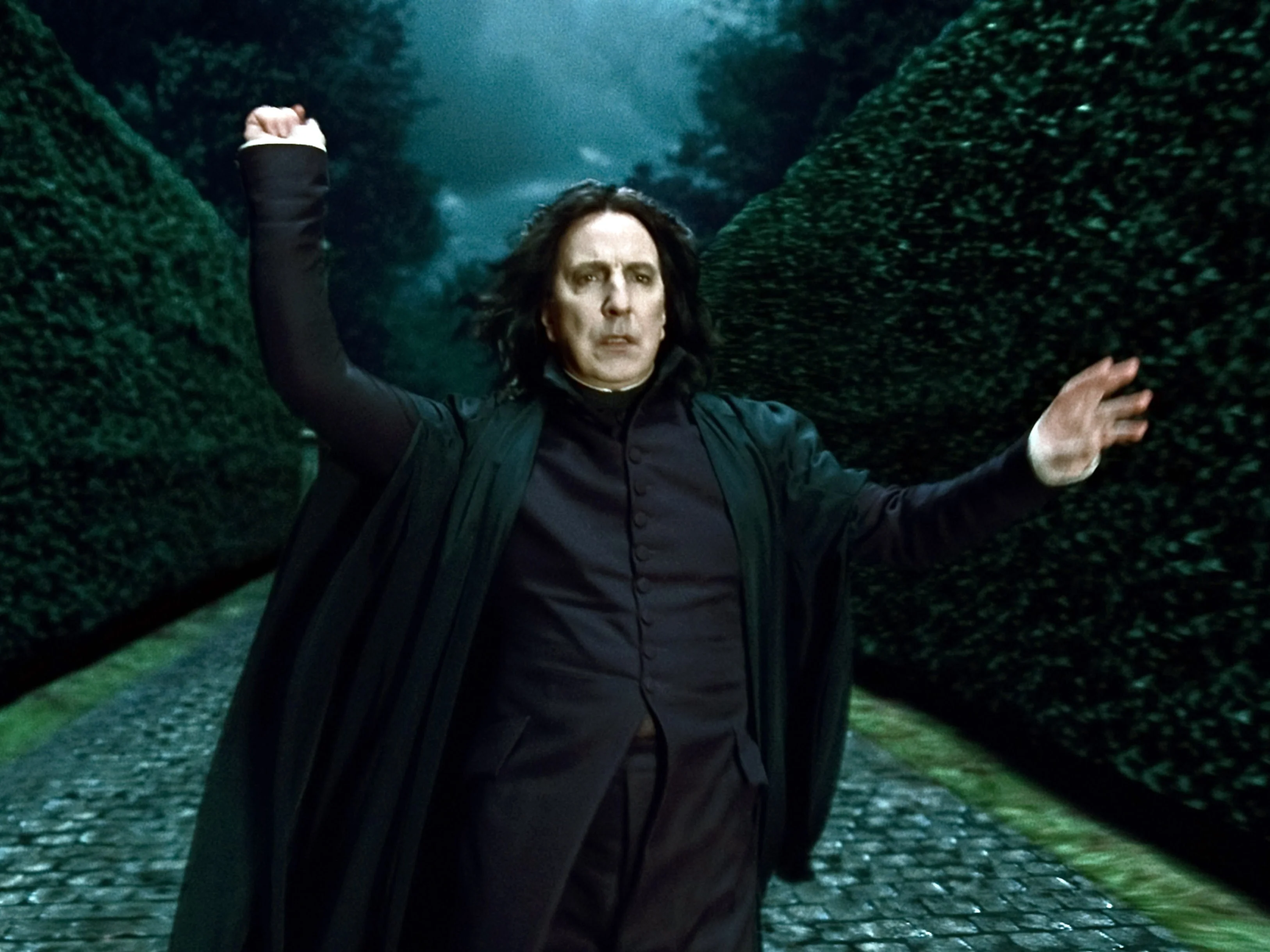 Snape From Harry Potter 
