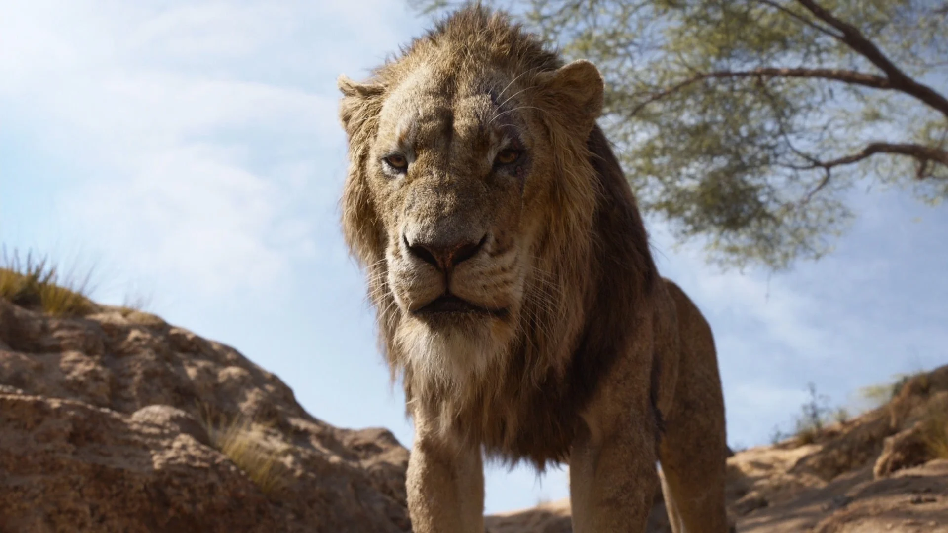 Scar (The Lion King 2019) (VA: Chiwetel Ejiofor)