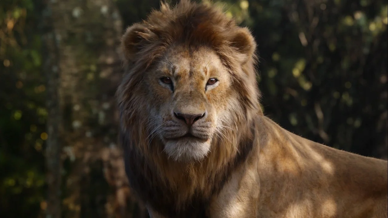 Simba [El Rey León 2019/Mufasa: El Rey León] [Latin American Spanish Dub]