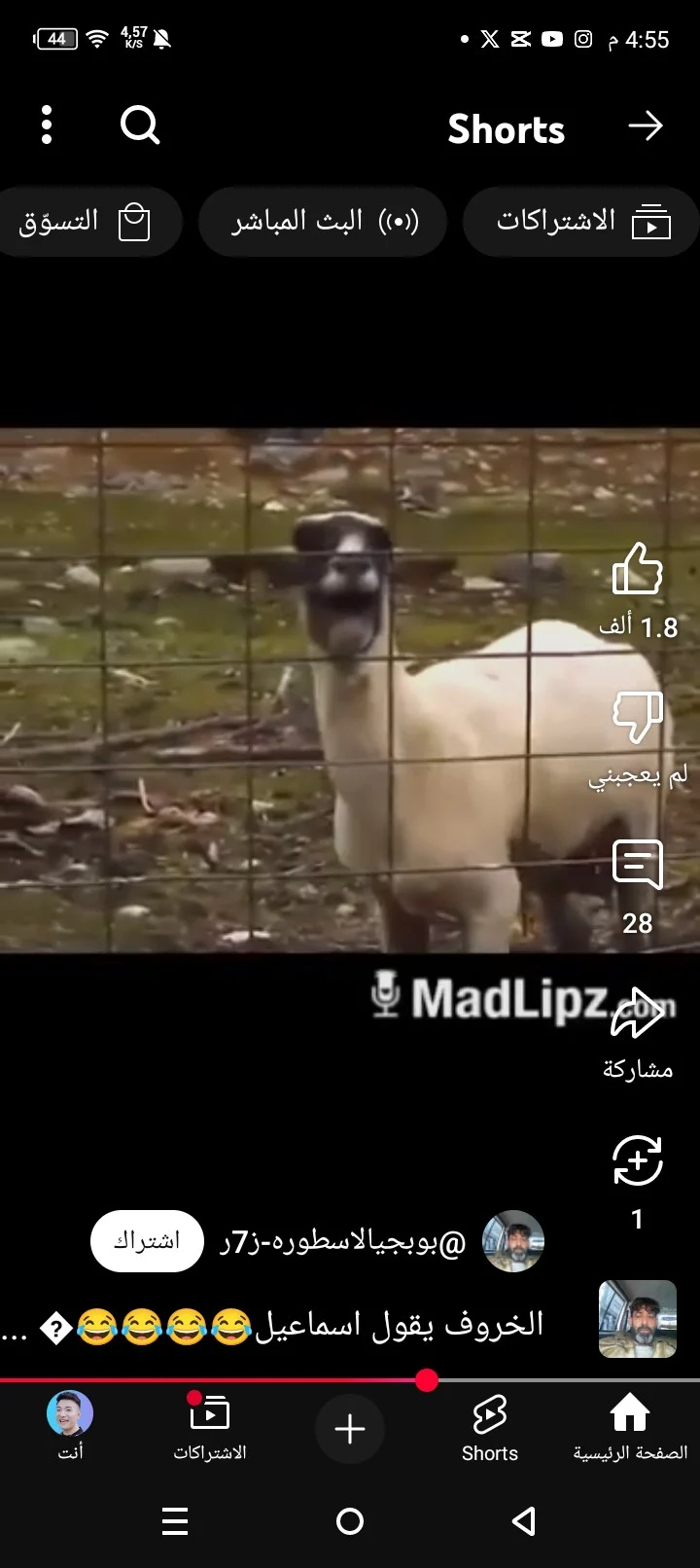 خروف ينادي على اسماعيل (meme)