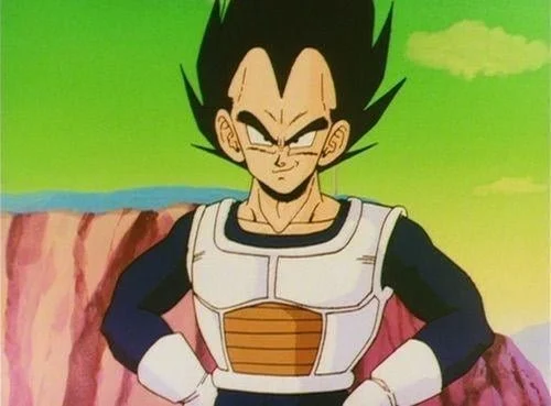 Vegeta DBZ German 