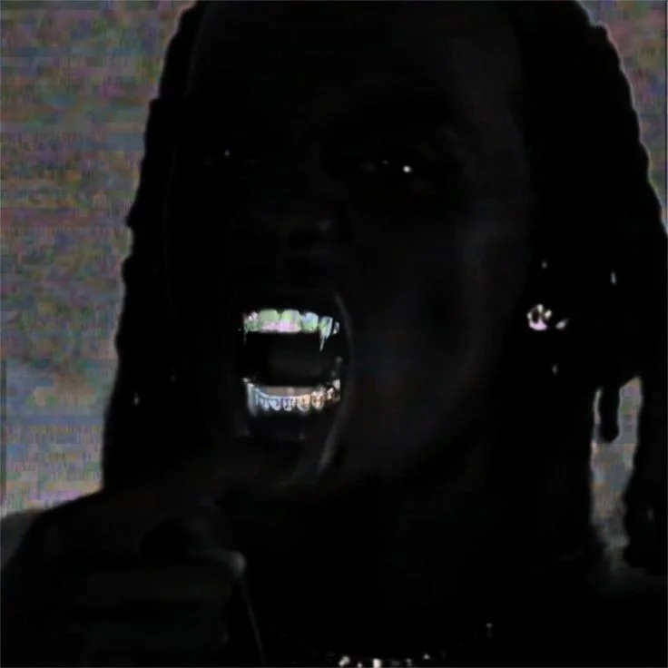 Playboi Carti - WICKED (2022 ERA)
