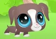 Boxer (Littlest Pet Shop Presents)