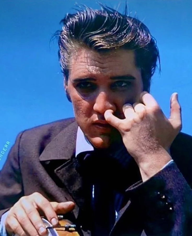 Elvis Presley as Vince Everett 