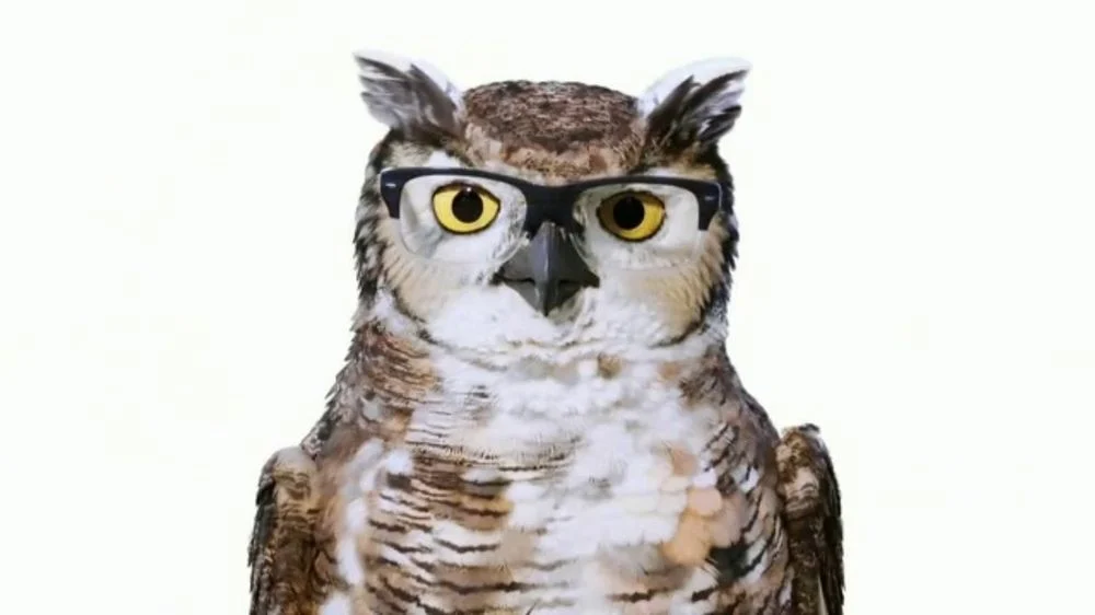 America's Best Eyecare Owl